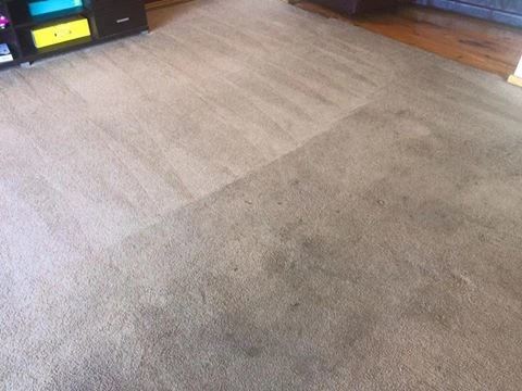 Spotless Carpet Cleaning Boulder Image